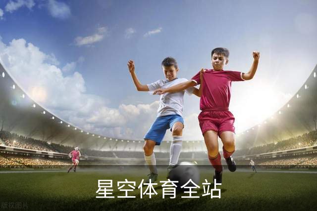 星空体育全站公司介绍图片